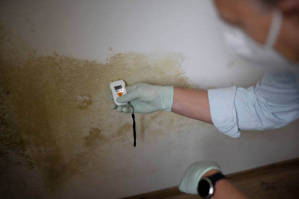 Best Biohazard Mold Removal  in Clyde Hill, WA